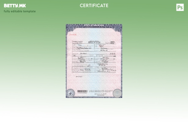 Модерен стил шаблон за сертификат за раѓање во САД Луизијана